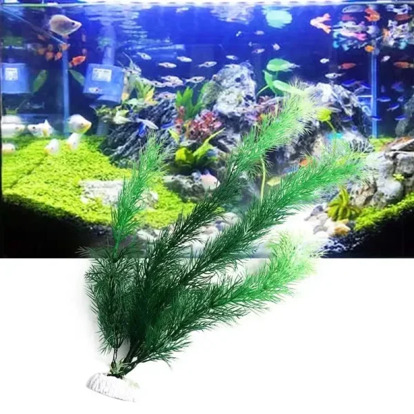 En aquarium