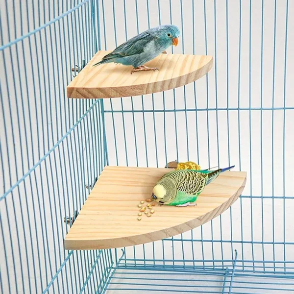 Plateforme d'angle en bois pour cage