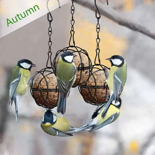 Porte-boule de graisse pour oiseaux à suspendre