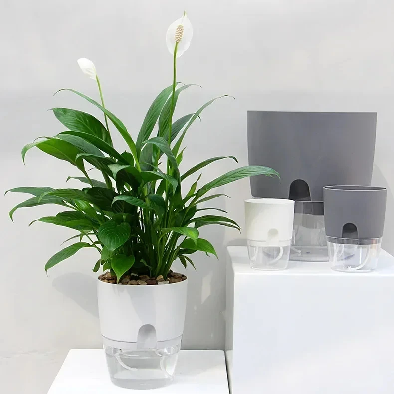 Pots à réserve avec plantes