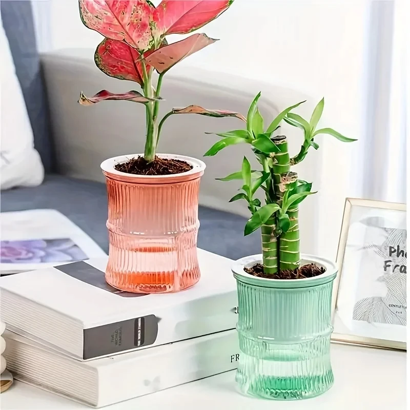 Pots rose et vert avec plantes