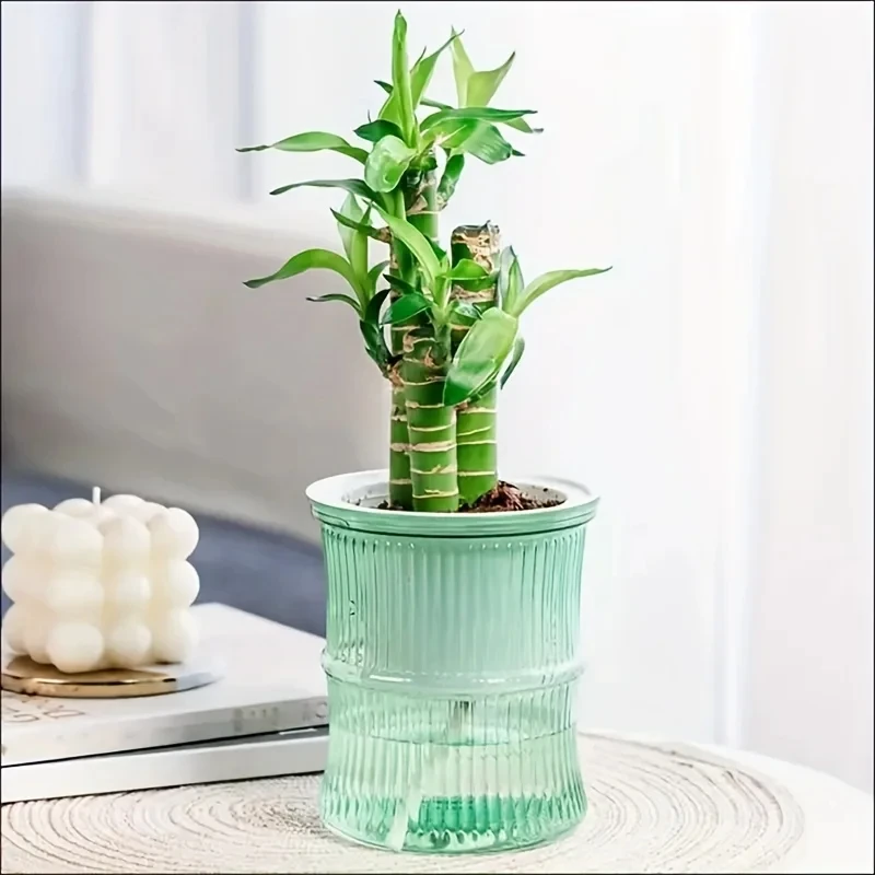 Pot vert avec bambou