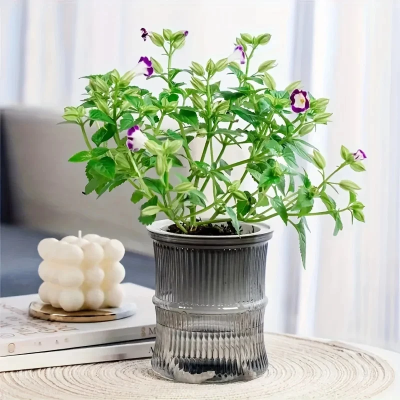 Pot gris fleuri