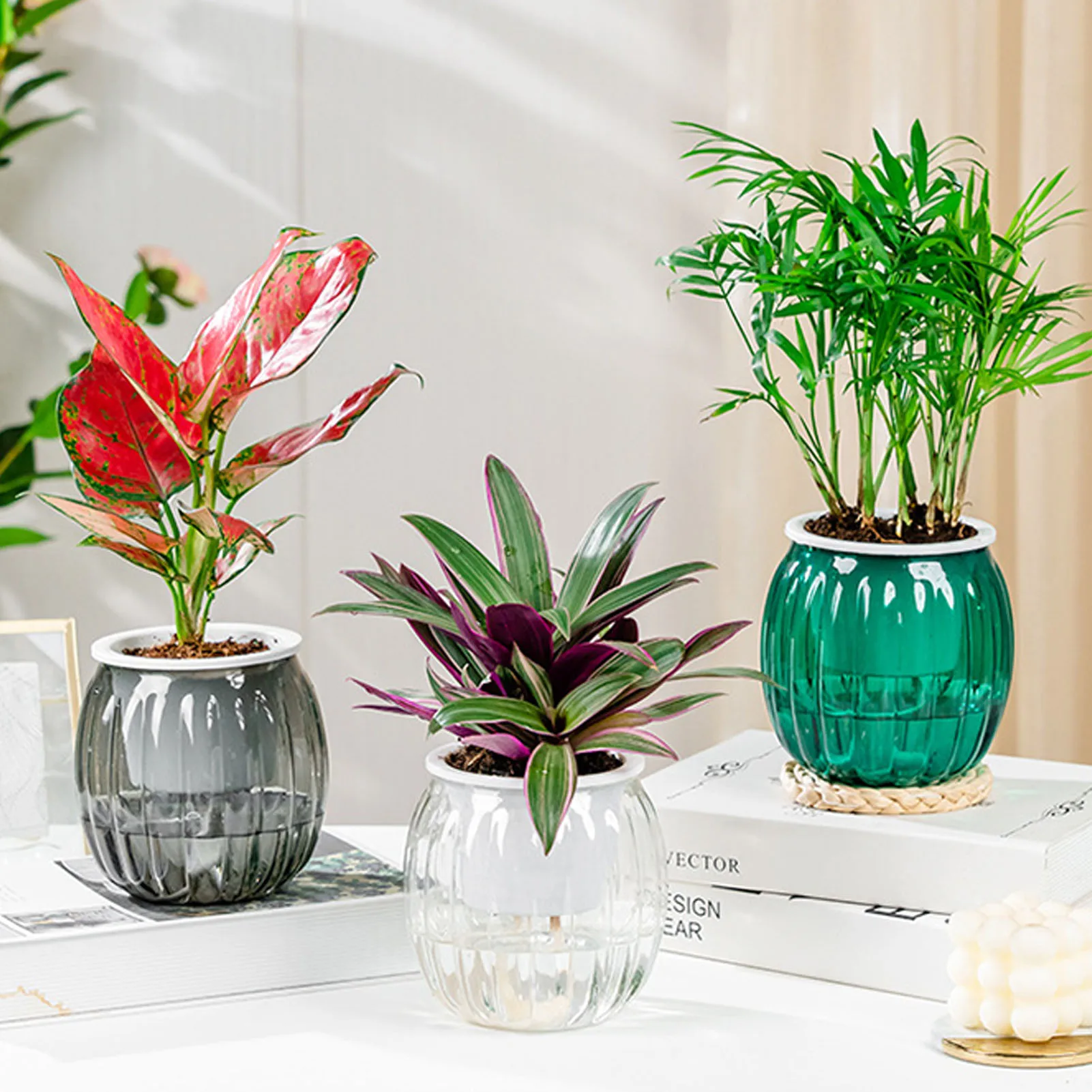 Trois pots plantés