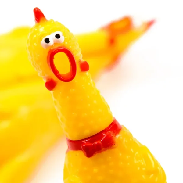 Tête du poulet