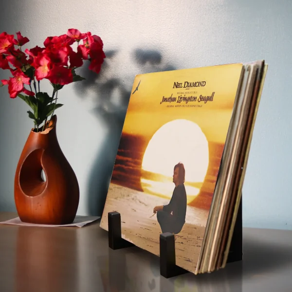 Présentoir de bureau en métal pour vinyles