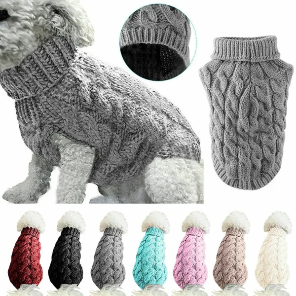 Chien en pull gris