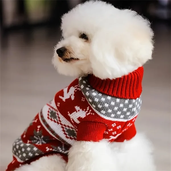 Pull jacquard à rennes pour chien