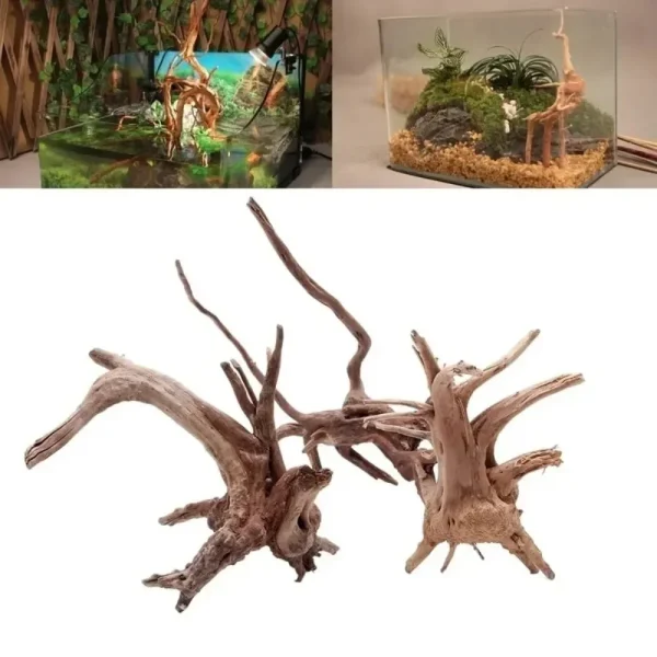 Plusieurs racines