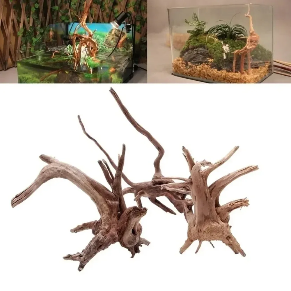 Plusieurs racines