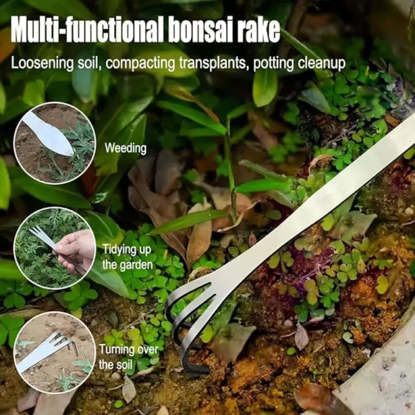 Râteau-spatule à bonsaï en acier inoxydable