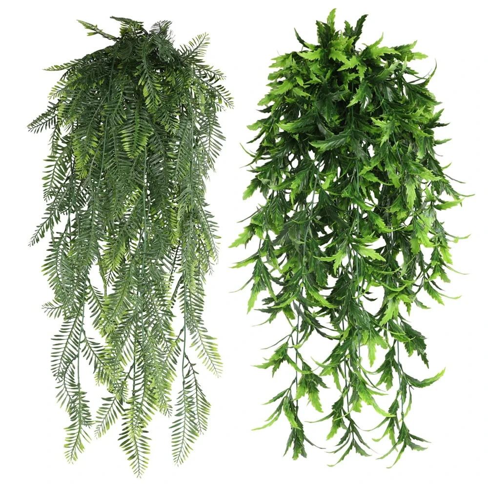Deux grappes de fougère