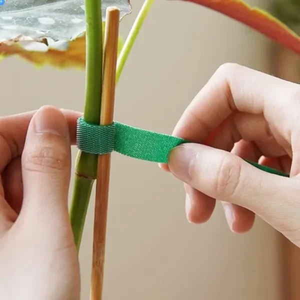Ruban vert d'attache pour plantes, de 2 à 20 m