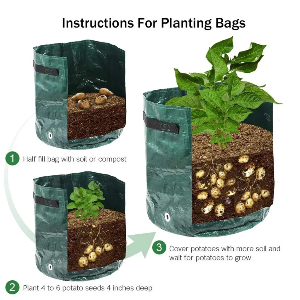 Plantation