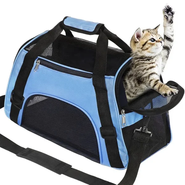 Chaton et sac