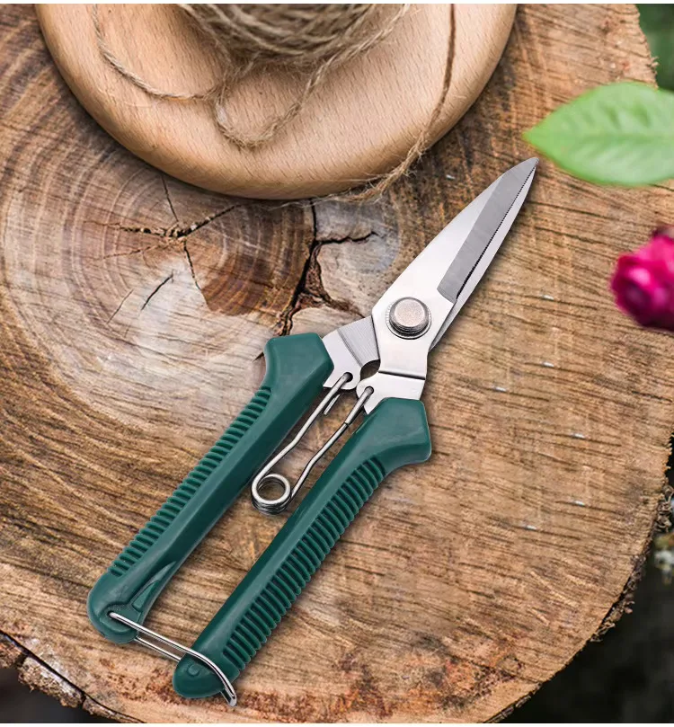 Sécateur vert sur une souche
