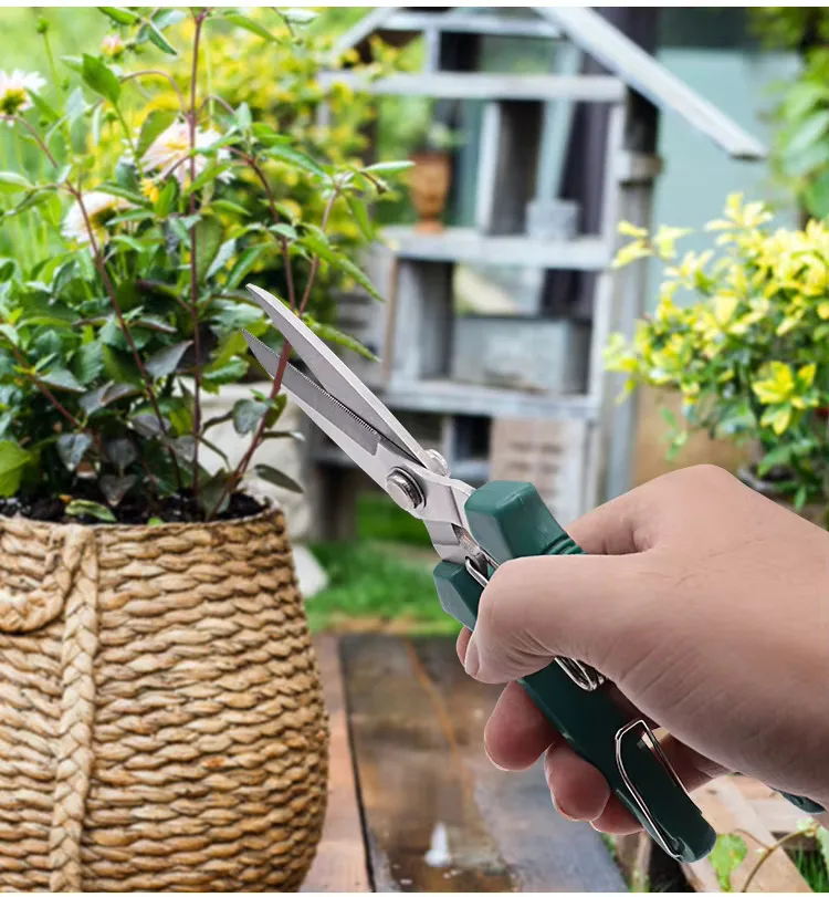 Taille d'une plante en pot