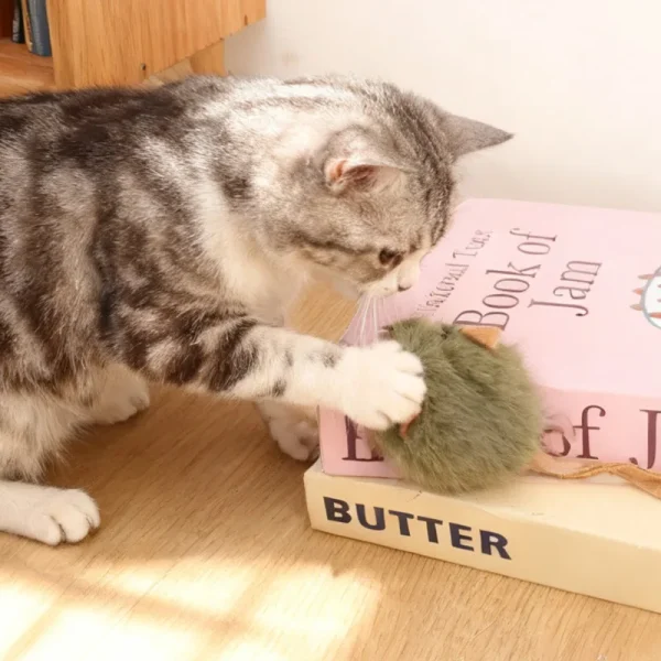 Chat et souris