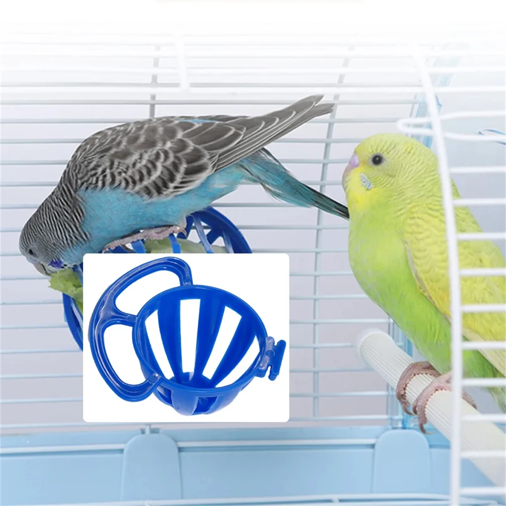 Dans la cage