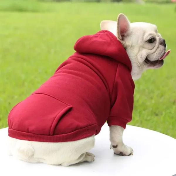 Sweat à capuche uni pour chien
