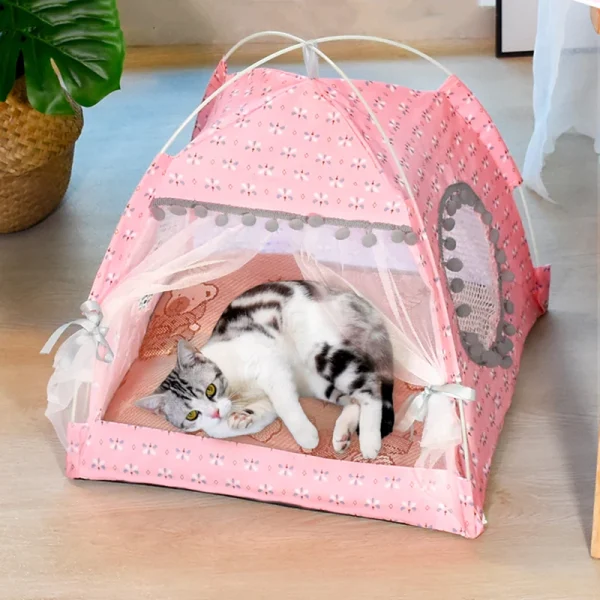 Chat dans la tente