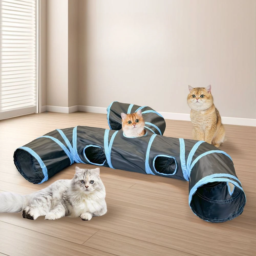 Chats dans le tunnel
