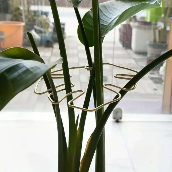 Tuteur décoratif feuille de monstera en métal, 18 cm
