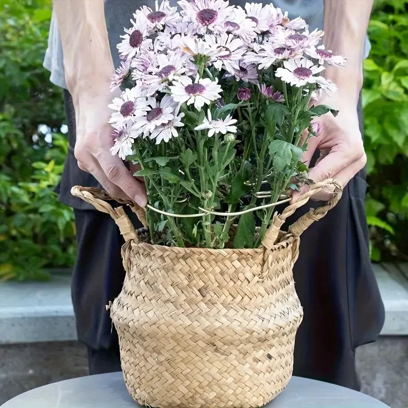 Tuteur dans un panier fleuri
