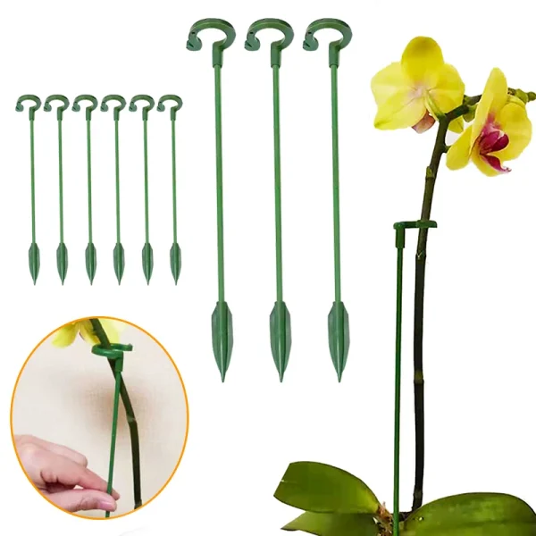 Tuteurs à anneau pour orchidées et plantes, 17 à 37 cm