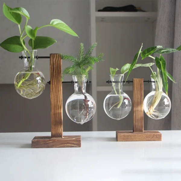 Vase ampoule en verre sur support bois, pour boutures