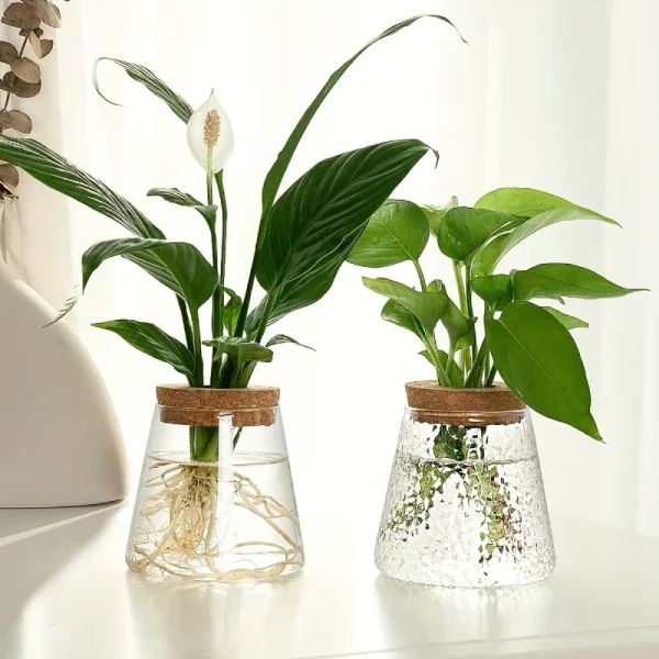 Vase de bouturage en verre martelé à bouchon liège
