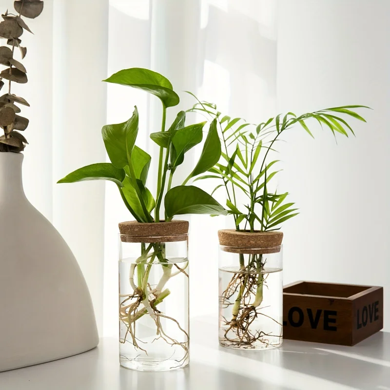 Vases de bouturage sur une étagère