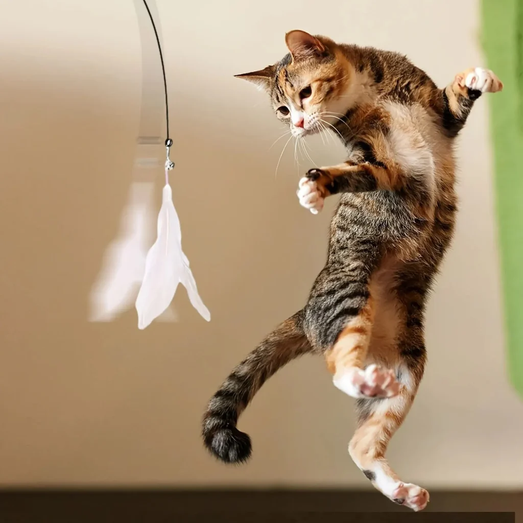Canne à plumes pour chat à ventouse : détail