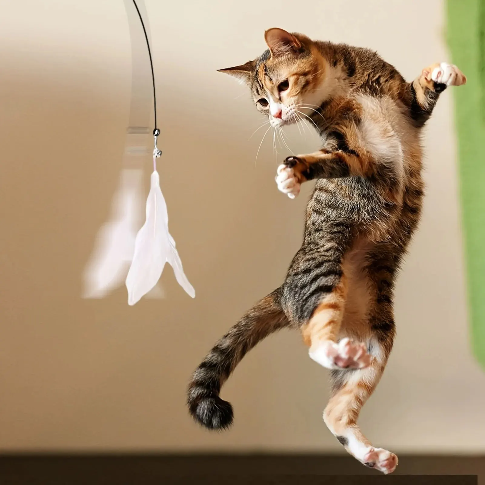 Canne à plumes pour chat à ventouse : détail