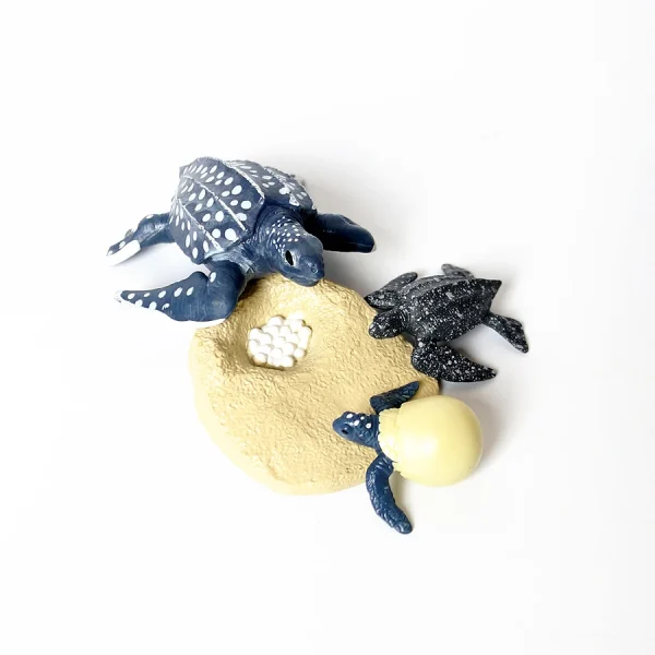 Tortue marine