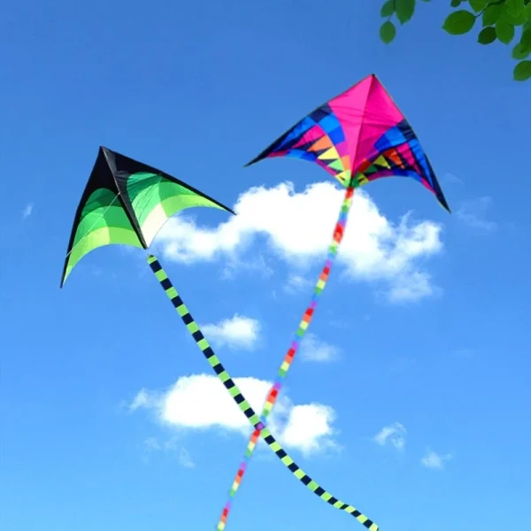 Grand cerf-volant delta arc-en-ciel