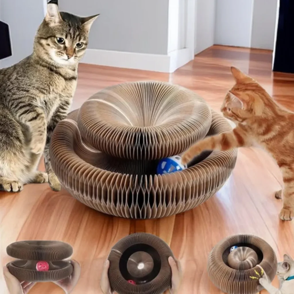 Griffoir accordéon magique avec balle : détail