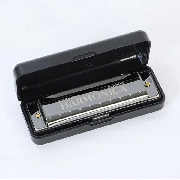 Harmonica 10 trous à anches en bronze