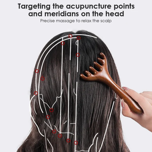 Peigne de massage à 6 griffes en bois : détail