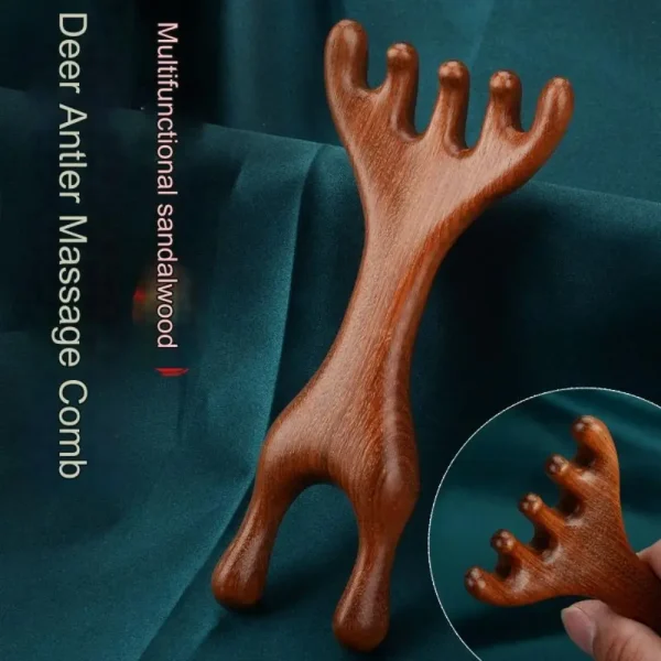 Peigne de massage double en bois : détail