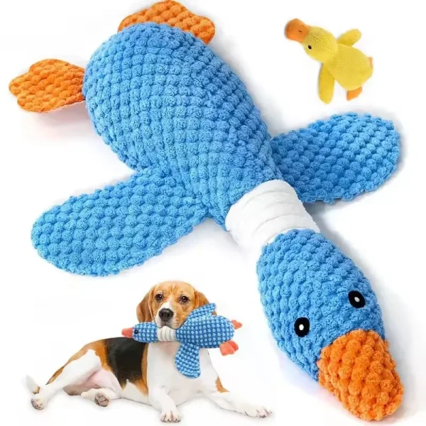 Peluche canard couineuse pour chien