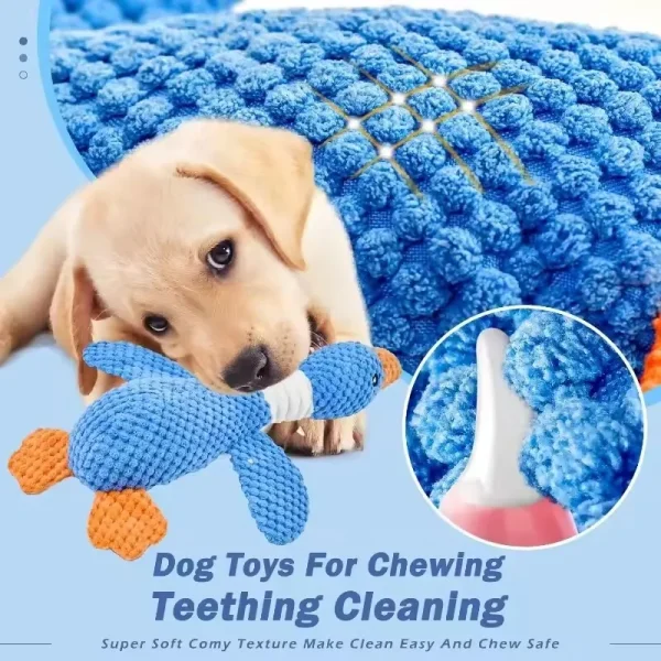 Peluche canard couineuse pour chien : détail