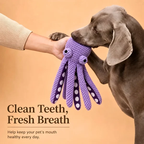 Peluche pieuvre couineuse pour chien : détail